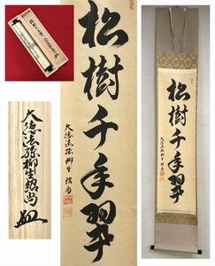 【千寿】大徳寺派 柳生芳徳寺 柳生紹尚 松寿千年翠 紙本 d226◆箱/茶道具/古美術/時代品/掛軸/100016946