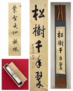 【千寿】大徳寺派 大仙院 尾関桃林 松寿千年翠 紙本 d290◆箱/茶道具/古美術/時代品/掛軸/100017656