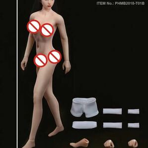 1/12スケール 6インチ 女性フィギュア素体 シームレス フルセット 内芯構造 自由な動き アクションフィギュア セクシー美少女の画像5