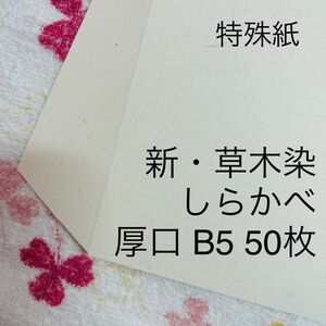 特殊紙　新・草木染　しらかべ　厚口　B5　50枚