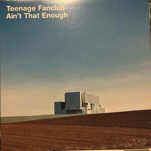 teenage funclub Ain't That Enough Sonic Youth Mudhoney マッドハニー subpop nirvana グランジ ソニックユース サブポップ