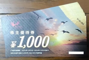 コシダカ　株主優待券　20,000円分