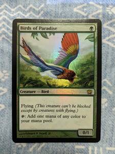 MTG【Foil/英】極楽鳥/Birds of Paradise　[8ED]　№01