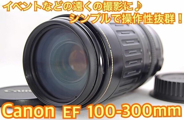 ☆Canon キヤノン 望遠レンズ 100-300mm☆迫力の300㎜！LENS☆