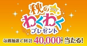 懸賞 応募 5種 ヤマザキ秋のわくわく7点 カルビー大収穫祭9点 フジパンミッフィー2点 エビス1枚 クリアアサヒ2枚 ハガキ類