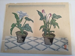 前川千帆/まえかわせんぱん 木版画 朝顔 約31cm×24.5cm 落款あり 虫食いダメージあり 日本画 アンティーク