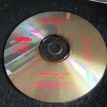 C11 中古CD Grateful Dead グレイトフルデッド Radio City Music Hall 1980 コレクターズ盤_画像6