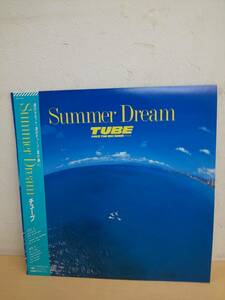 50582D◆LP TUBE チューブ/Summer Dream