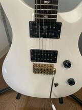 PRS SE DAVE NAVARRO 2012年限定モデル ロックペグ セミハードケース付き _画像3