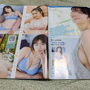 瑚々、咲田ゆな★ヤングマガジングラビア＆表紙切り抜き11ページ★の画像2