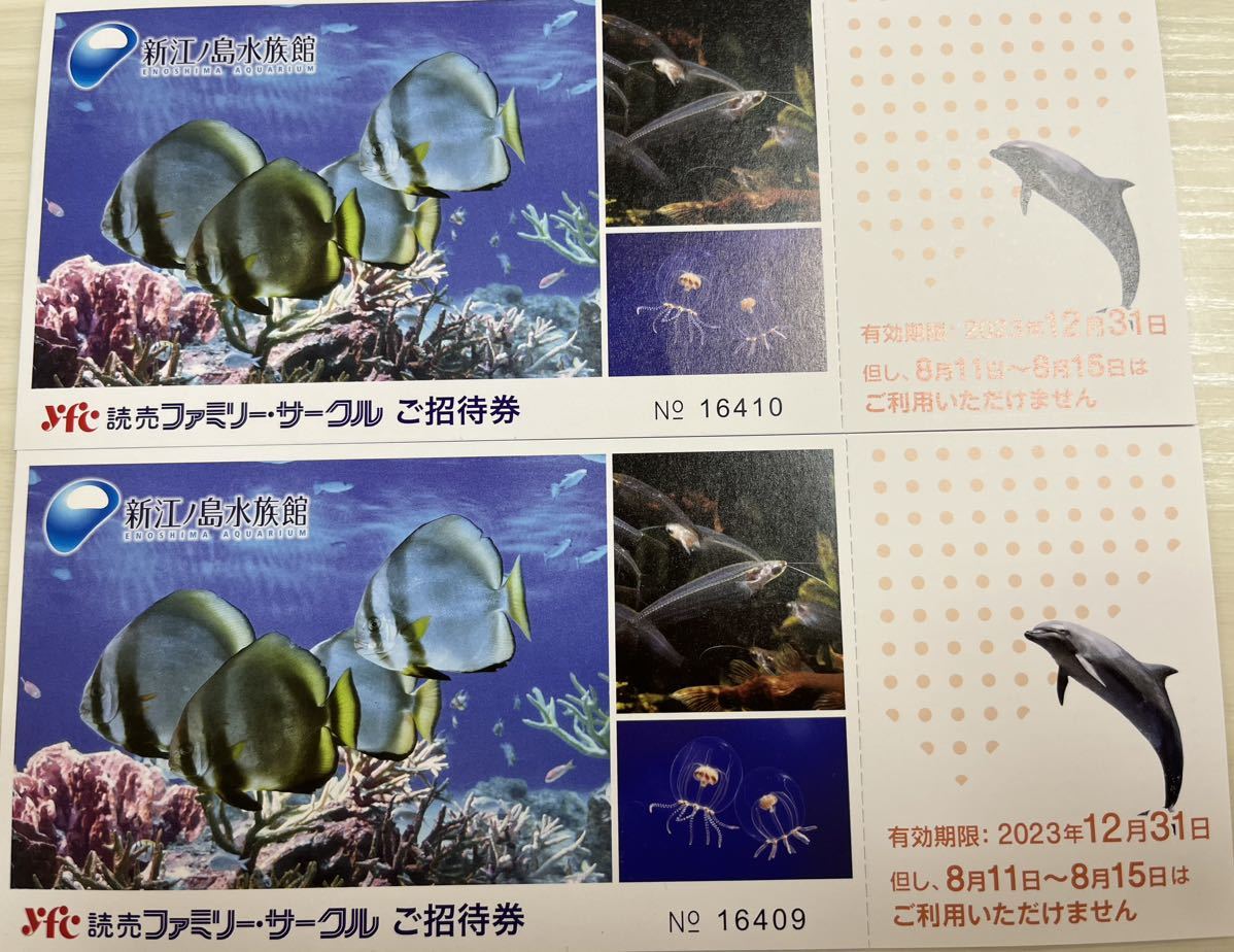 2023年最新】Yahoo!オークション -新江ノ島水族館 えのすいの中古品