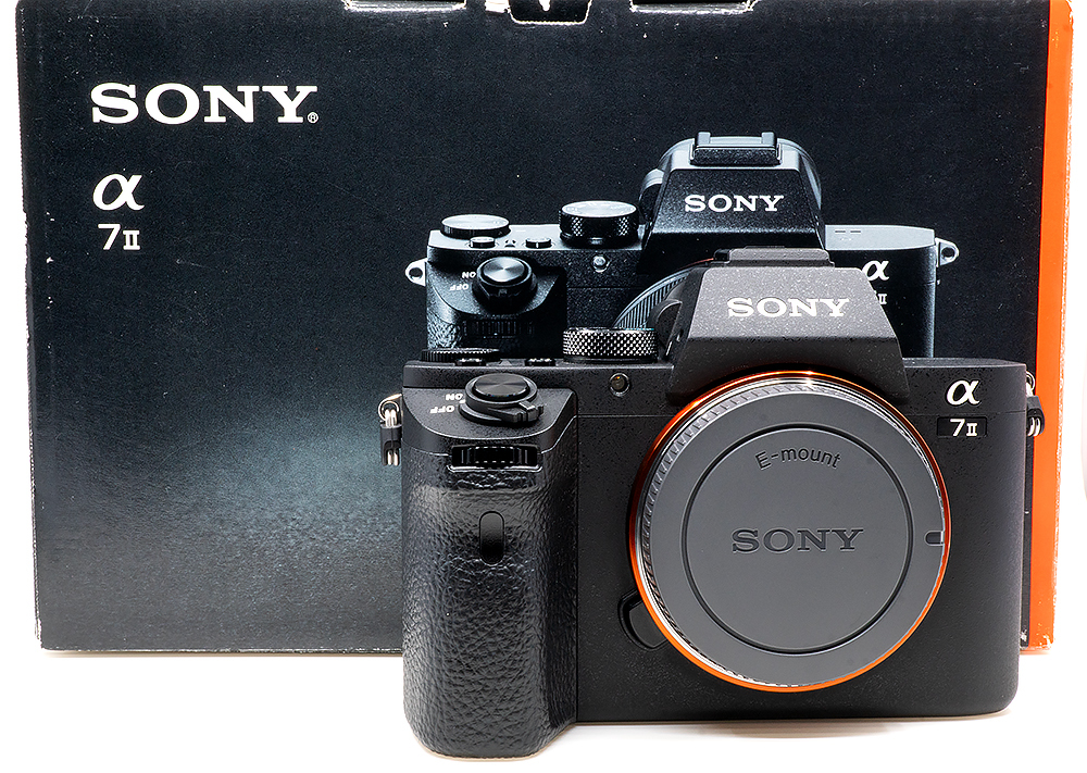 2023年最新】Yahoo!オークション -sonyα7iiの中古品・新品・未使用品一覧