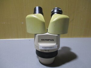 中古 OLYMPUS オリンパス SF10 実体顕微鏡(R50902AWB011)