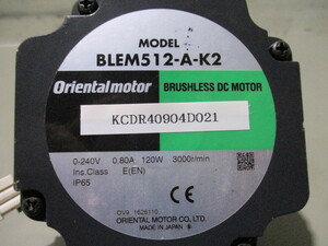 中古 ORIENTAL MOTOR BLEシリーズ BLEM512-A-K2(KCDR40904D021)