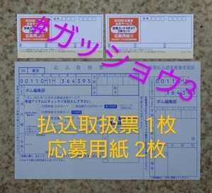 BOMB!(ボム!) 2023年12月号 応募者全員サービス 払込取扱票 1枚・応募用紙 2枚 白間美瑠・澄田綾乃 川上千尋・上西怜・和田海佑(NMB48)