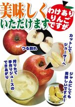 わけあり【B級品・紅玉・20kg（20キロ）用 木箱 サイズ ダンボール 詰】否バラ詰め 青森県産_画像2