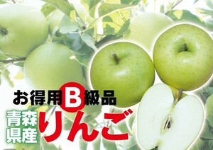 wa. equipped [B class goods *..*5kg(5 kilo ) cardboard .] Aomori prefecture production blue apple 