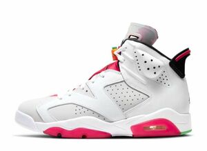 Nike Air Jordan 6 "Neutral Grey/Hare"　27cm