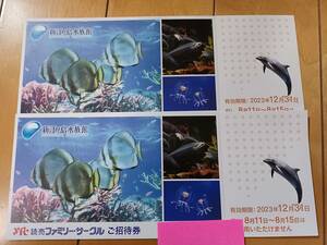 『新江ノ島水族館』招待券2枚セット 有効期限2023年12月