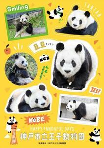 ＜新品♪＞☆パンダ来日51周年記念ステッカー 神戸市立王子動物園Ver. ☆松坂屋上野店ノベルティ（非売品 ）☆／シール・タンタン・旦旦