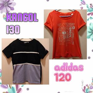 KIDS Tシャツ adidas 120サイズ KANGOL 130cm