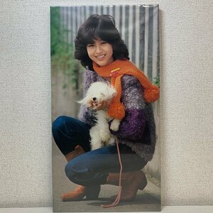 松田聖子 木製 パネルポスター 1981年 カレンダー 写真 聖子ちゃん 当時物 昭和レトロ☆＜30cm×57cm×2cm＞