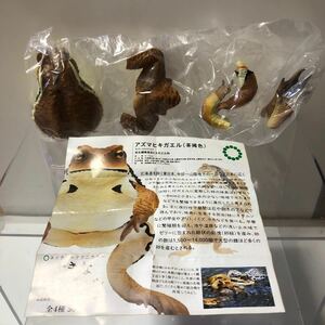 ネイチャーテクニカラー 大きなヒキガエル アズマヒキガエル(茶褐色)はささ