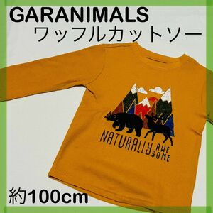 子供服　子ども服　キッズ　 長袖　 カットソー　ワッフルプルオーバー　3T 約100cm GARANIMALS ガラニマルズ