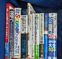 【1円スタート】 プログラミング関連本20冊まとめて スクイーク/STL/ワインバーグ/Ruby/オンラインゲーム/Kylix など 中古本まとめ売り_画像2