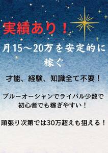 月15〜20万円を安定的に稼ぐ　ブルーオーシャンでライバル少数　知識、経験、スキル、才能全て不要　初心者　副業　