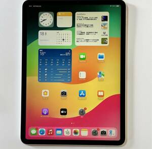 Apple iPad Pro (11インチ) シルバー 64GB 3E149J/A Wi-Fiモデル A1980 iOS17.0.3 アクティベーションロック解除済