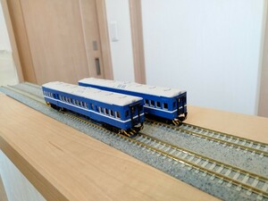 鉄道模型（Nゲージ）台湾鉄道　DR2510型気動車タイプ　2両編成　キット組立品