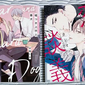 BL漫画 コミック 2冊セット 水稀たま カシオ