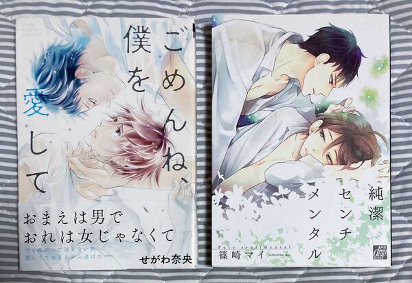 BL漫画 コミック 2冊セット せがわ奈央 篠崎マイ