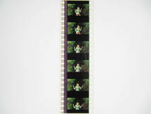 35mmフィルム6コマ223 千と千尋の神隠し スタジオジブリ 宮崎駿 Spirited Away　Hayao Miyazaki_画像4