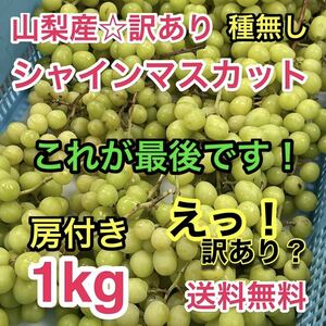 ◆◆これが最後◆◆山梨県産の訳あり種無し＆房付きシャインマスカット１kg！到着開封後笑顔満開♪ 出品が終わり次第終了☆