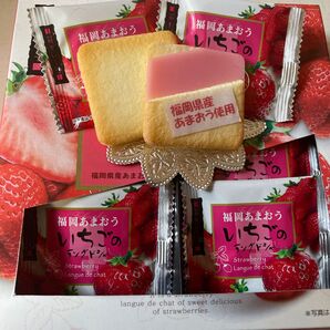 福岡あまおう サンプル