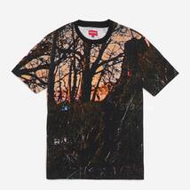 Supreme シュプリーム S/S Pocket Tee Woods Size M 2020FW Black Sabbath Tee ポケットTシャツ ウッズ Mサイズ ブラックサバス 新品未着用_画像1