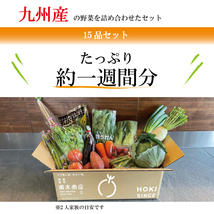 ☆ 目利きのプロが厳選したおいしい 産地直送野菜セット☆ 野菜セット お年賀 野菜 詰め合わせ 野菜BOX 旬 厳選 ギフト 食材 新鮮_画像5