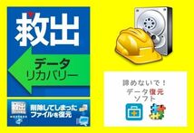 ハードディスク HDD ファイル データ 復元 復旧 SDカード 対応！説明ビデオ付き！DVDコピー YouTube ダウンロード！ソフト特典付き！ _画像6