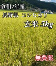 令和4年産　信州　長野県　コシヒカリ　玄米5kg 無農薬_画像1