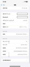 【香港版 SIMフリー】 iPhone12 Pro Max A2412 (MGCE3ZA/A) 512GB パシフィックブルー_画像8