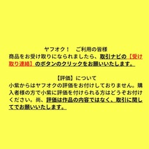 一輪のコスモス　小紫蘭　中編小説　文学フリマ ③_画像3