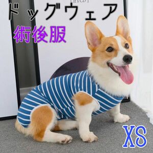 【ブルーXS】ペット服 犬服 ドッグウェア ペット用品 犬 術後服 小型犬 避妊 去勢 青 ボーダー 傷口保護