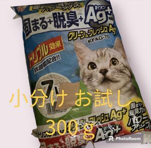 猫ちゃん 猫砂 トイレ