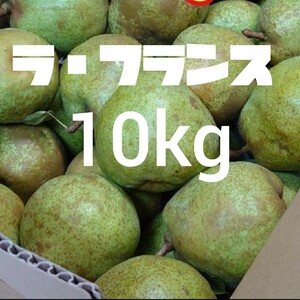 ラ・フランス　箱込み10kg　減農薬栽培　訳あり　長野県産