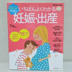 いちばんよくわかる妊娠・出産 : 妊娠がわかった日からお産本番、産後まで快適に…