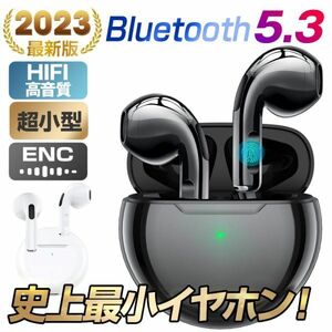 ワイヤレスイヤホン Bluetooth 5.3 イヤホン 超小型 ノイズキャンセリング機能付き 高音質 両耳 左右分離型 軽量 ブルートゥース