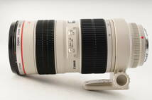 ★銘玉★ Canon 望遠ズームレンズ EF70-200mm F2.8L USM フルサイズ対応 #28_画像5