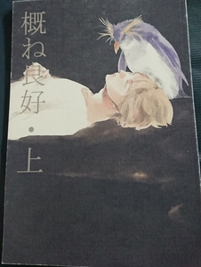 ★関ジャニ∞同人誌【丸山受】安丸/安田×丸山★みなみのさんかく★概ね良好・上